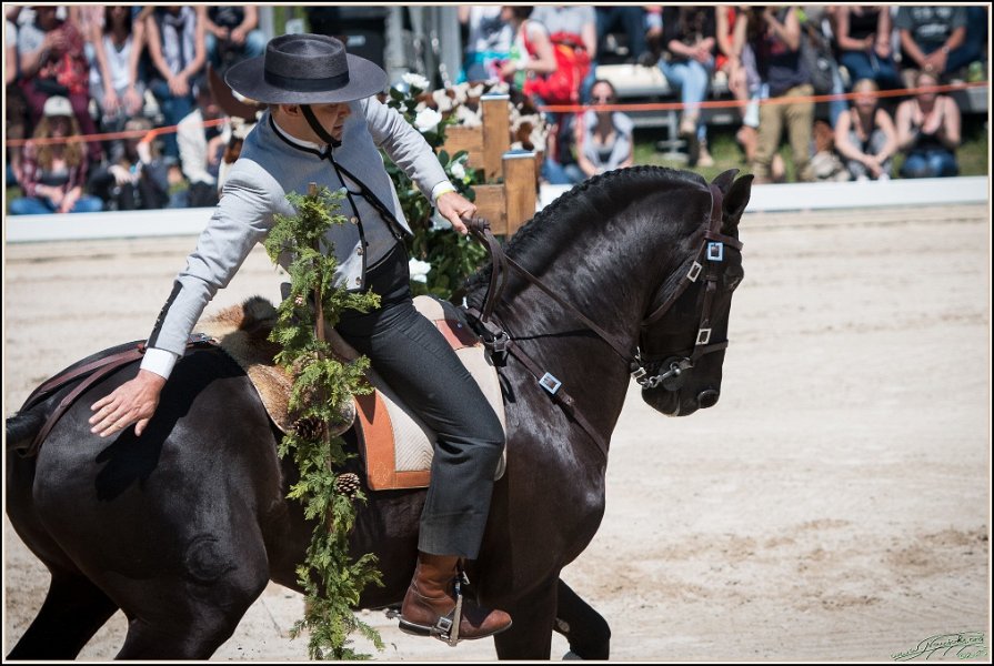 Pferd International 096